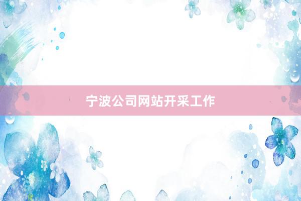 宁波公司网站开采工作