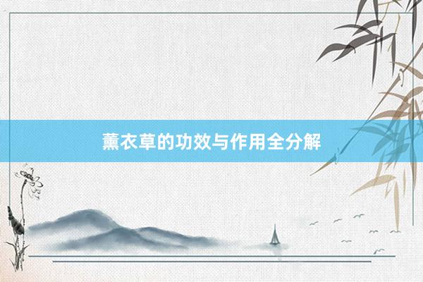 薰衣草的功效与作用全分解