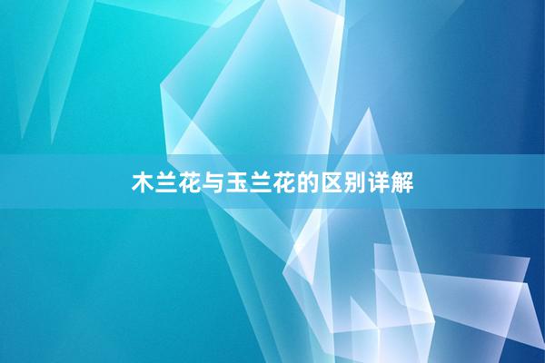 木兰花与玉兰花的区别详解