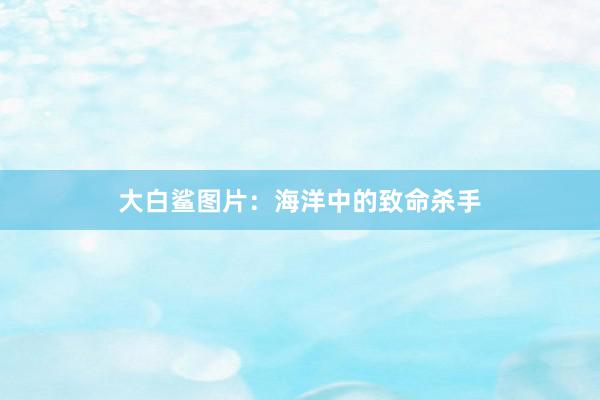 大白鲨图片:海洋中的致命杀手