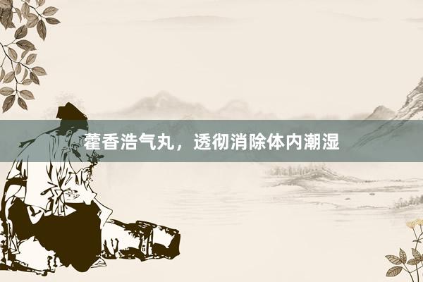 藿香浩气丸，透彻消除体内潮湿