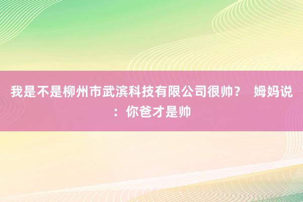 我是不是柳州市武滨科技有限公司很帅？  姆妈说：你爸才是帅
