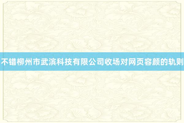 不错柳州市武滨科技有限公司收场对网页容颜的轨则